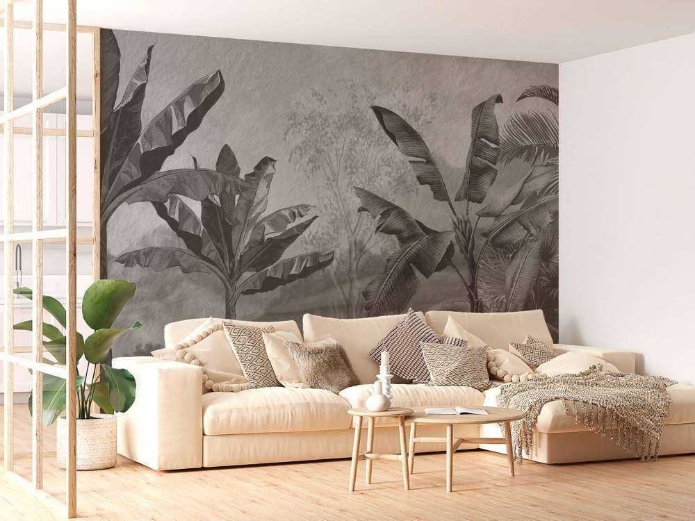 Bananträd i svartvitt