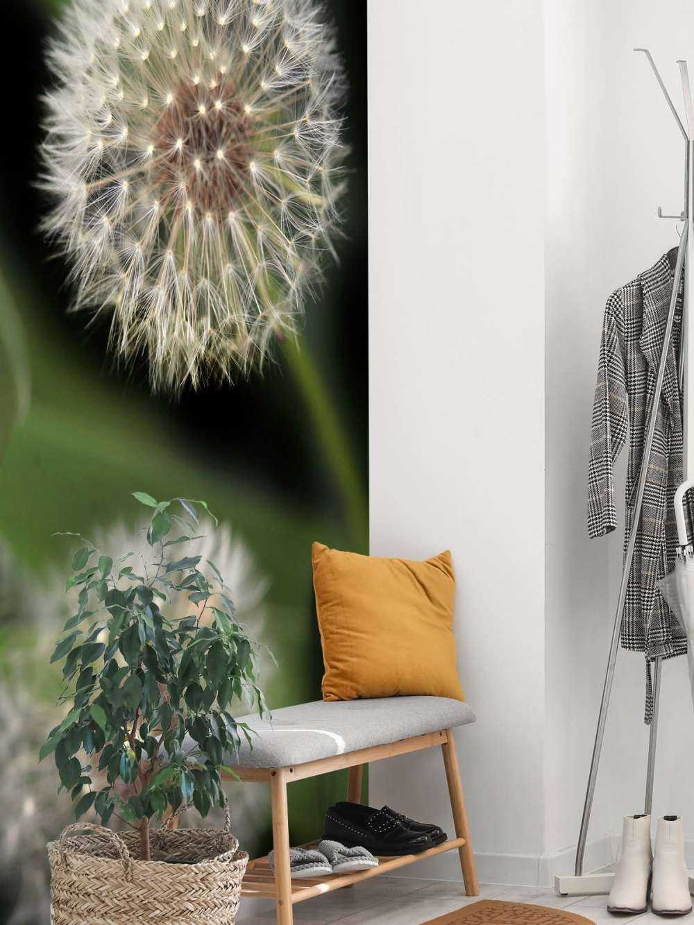 Närbild av maskrosor