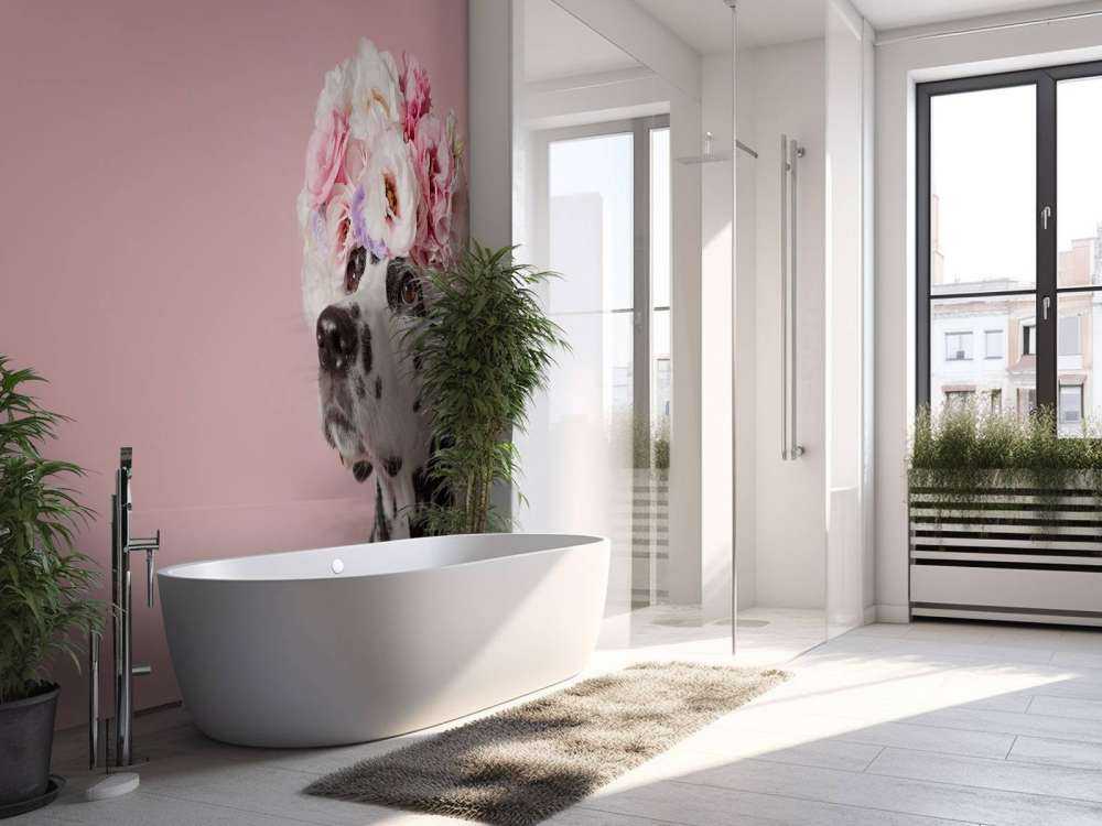 Dalmatinare med färgade blommor