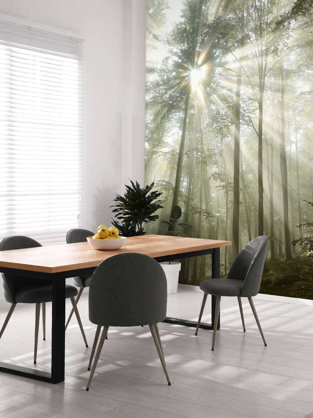 Skog i dimma