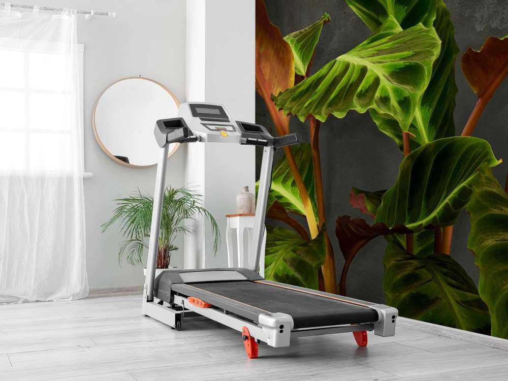 Växt med vackra gröna blad