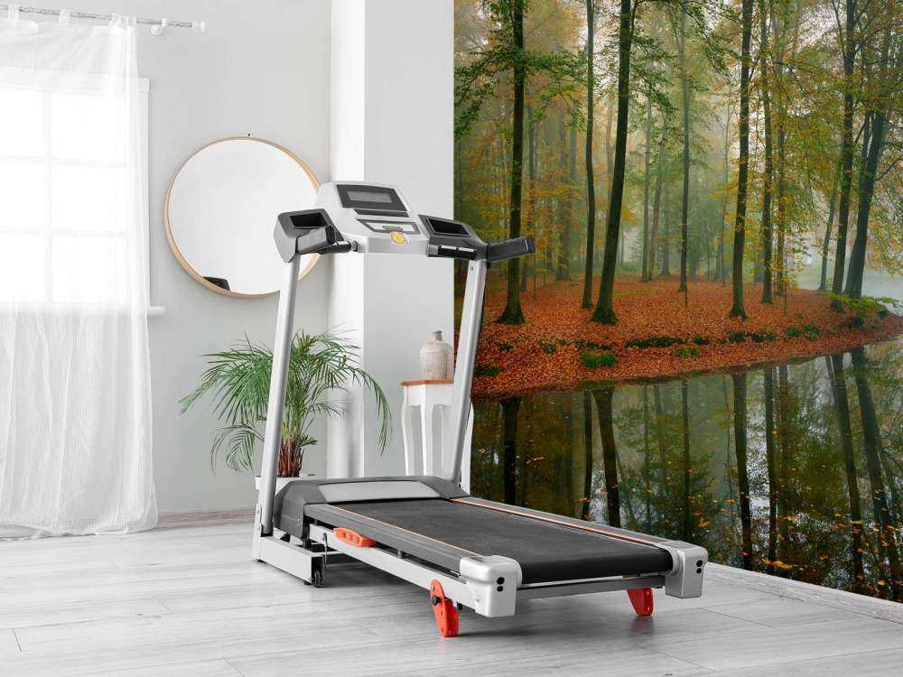 Trädens reflektion i en damm