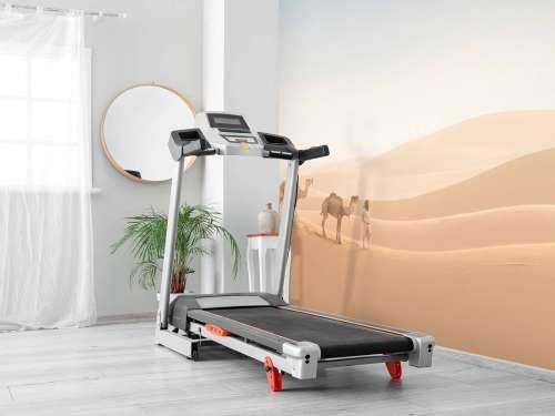 Nomad med sina kameler