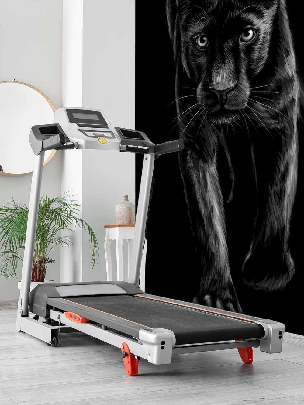 Panter på flykt
