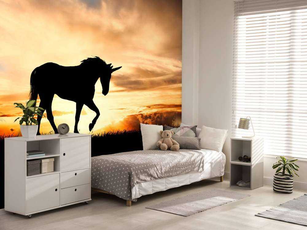 Enhörning siluett i solnedgången