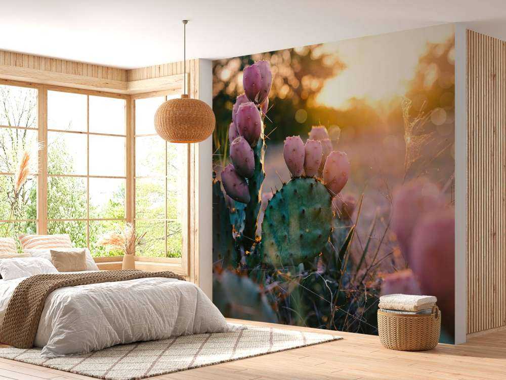 Kaktus med blommor