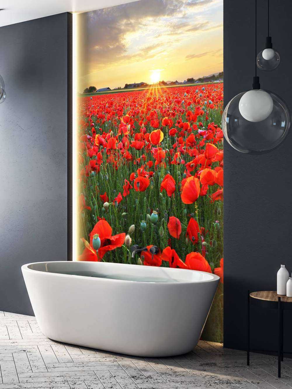 Vallmo vid solnedgången