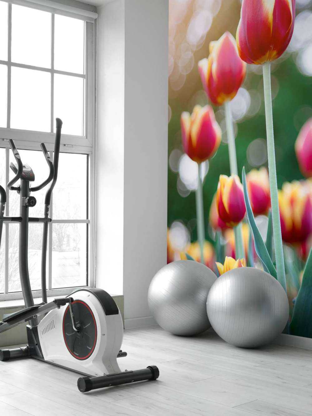 Röd med gula tulpaner