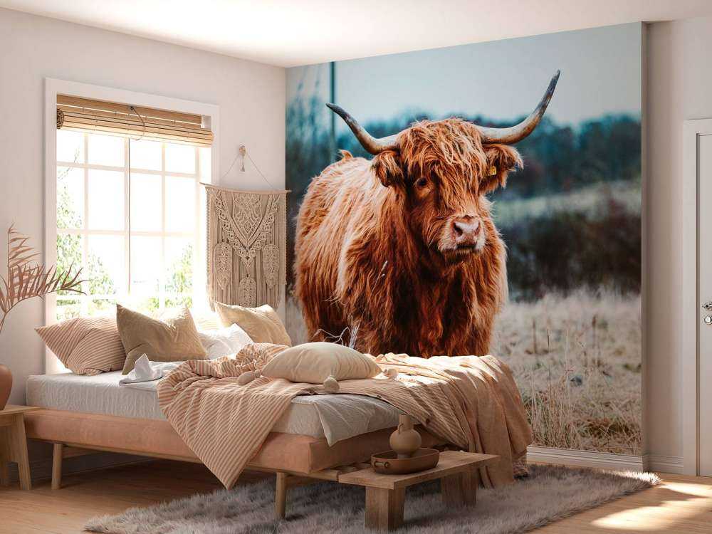 Skotsk hoglandare i skogen