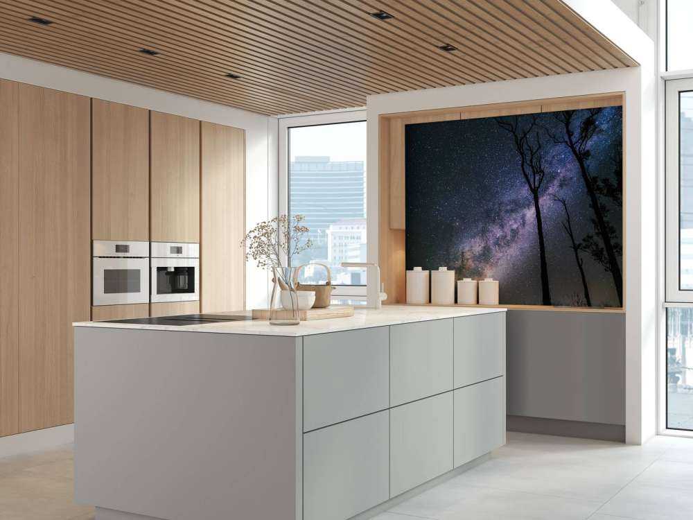 Stjärnor mellan träden