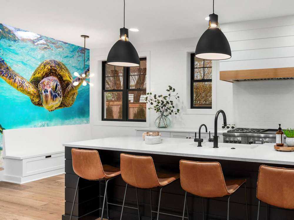 Havssköldpadda i havet