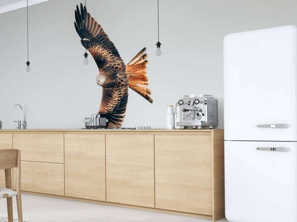 Röd drake med utbredda vingar