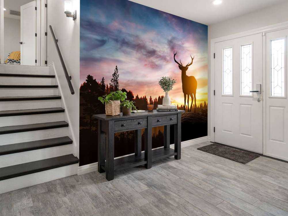 Rådjur i solnedgången