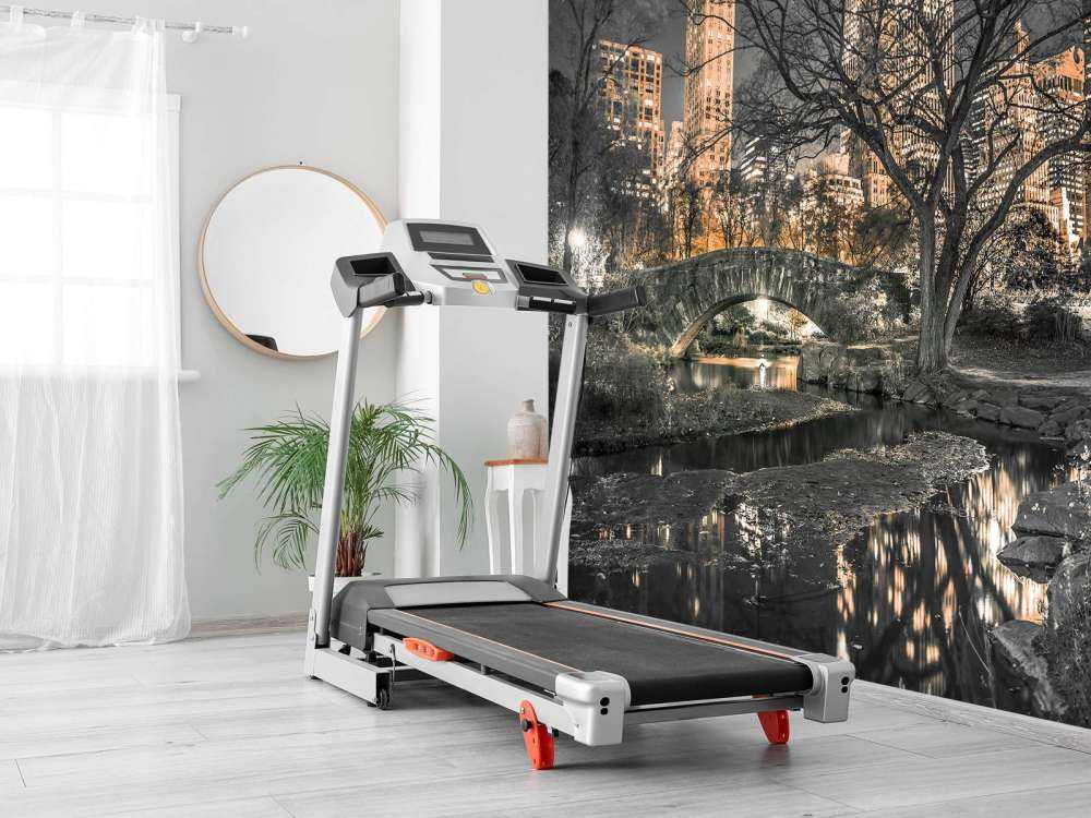 Centralparken på kvällen