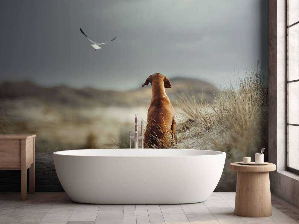 Freedom