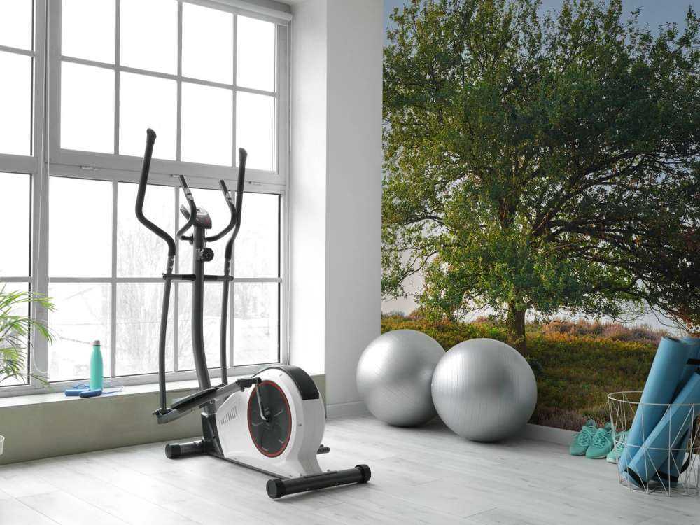 Ensamt träd på hedan