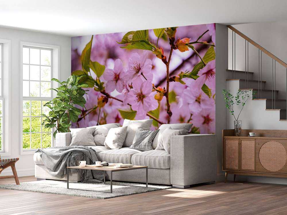 Rosa blommor med kronblad