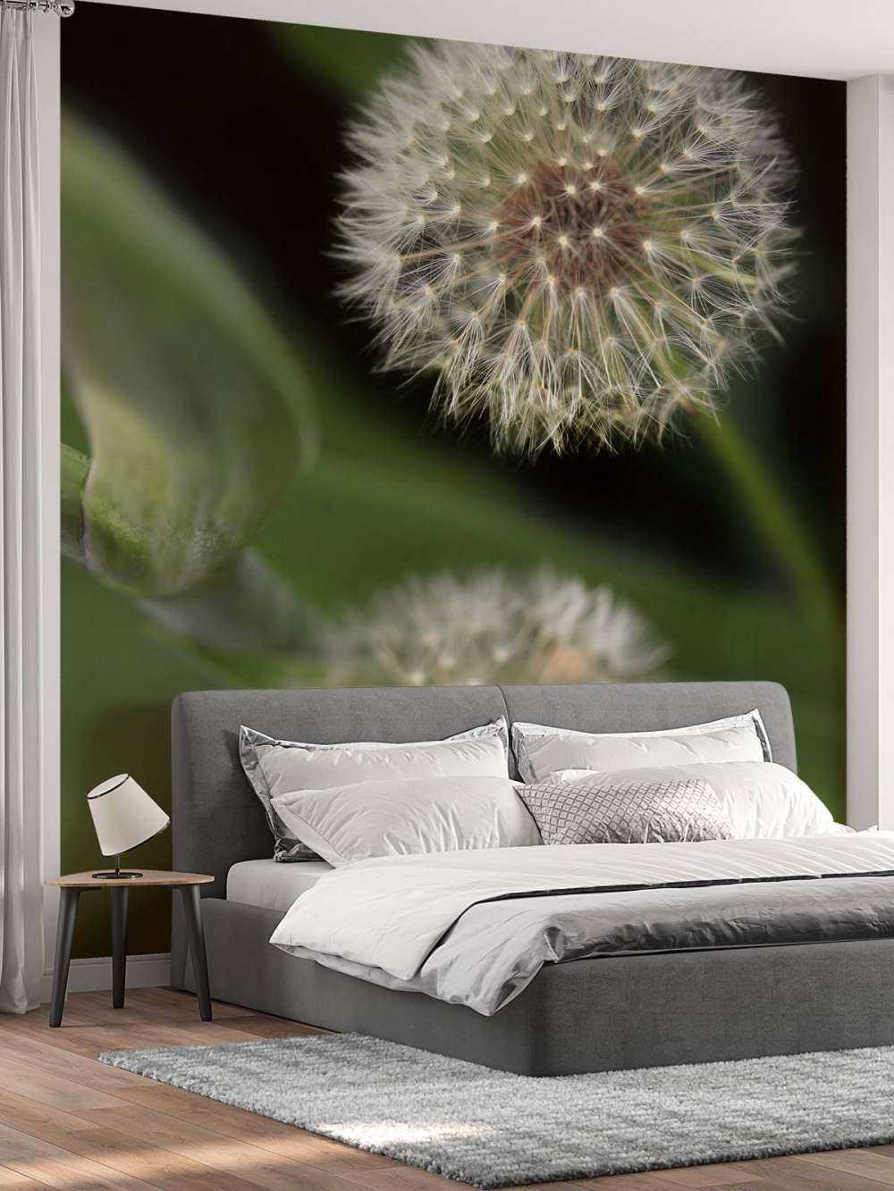 Närbild av maskrosor