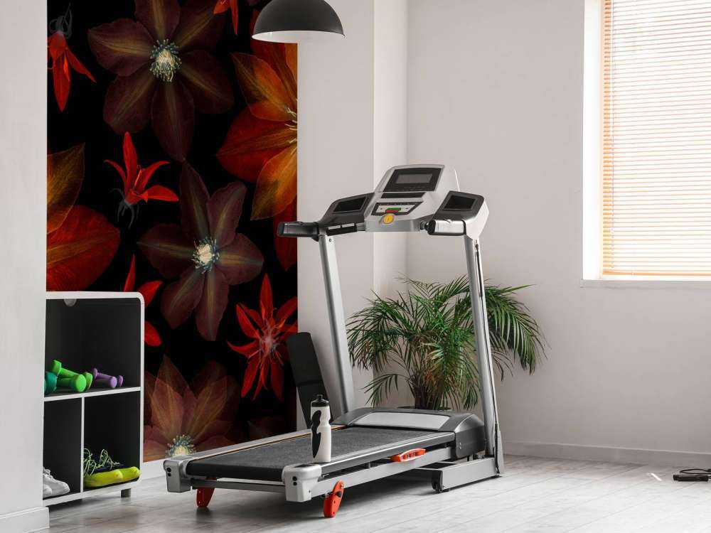 Røde klematisblomster