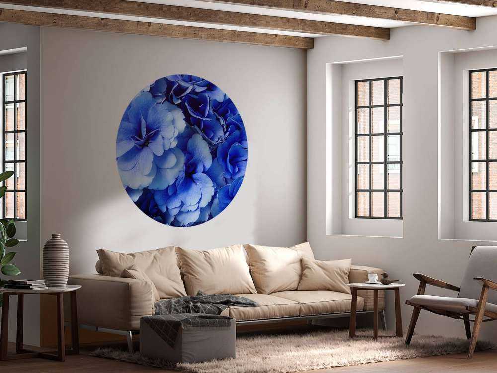 Nærbilde av blå hortensiaer