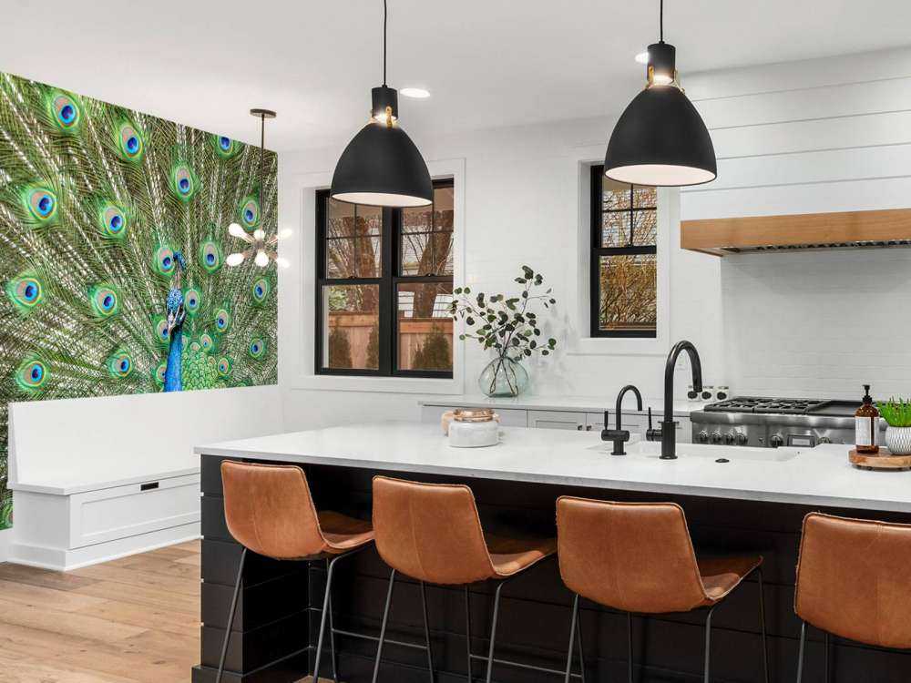 Påfugl med utvidede fjær