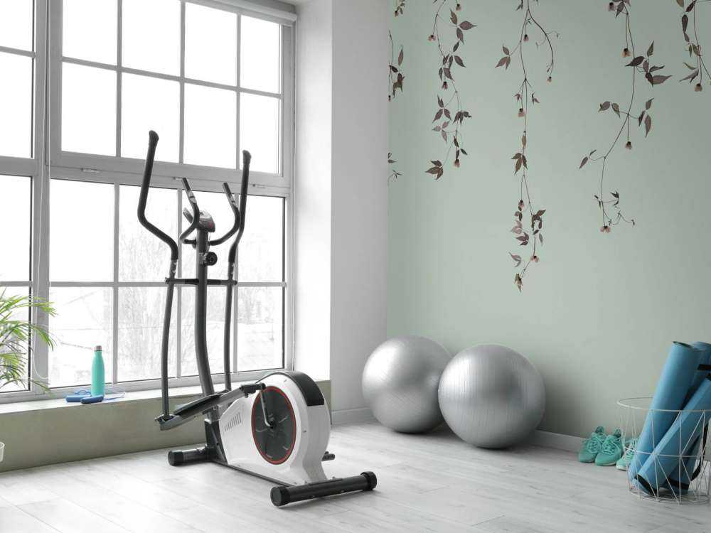 Klematiskvister på grågrønn