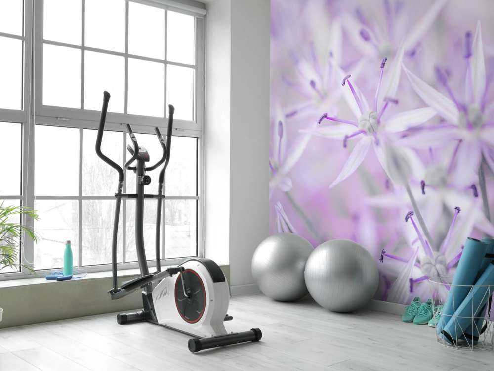 Nærbilde allium blomster