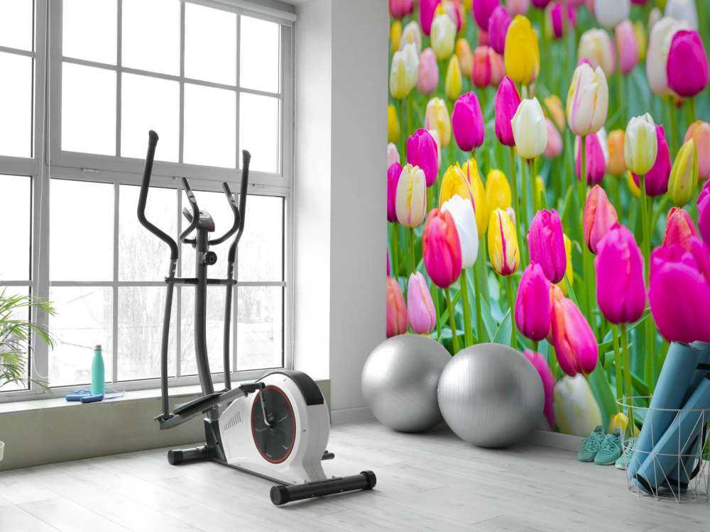 Fargerike tulipaner i en åker