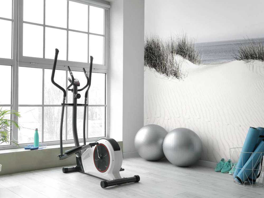 Dunepassasje til stranden svart og hvitt