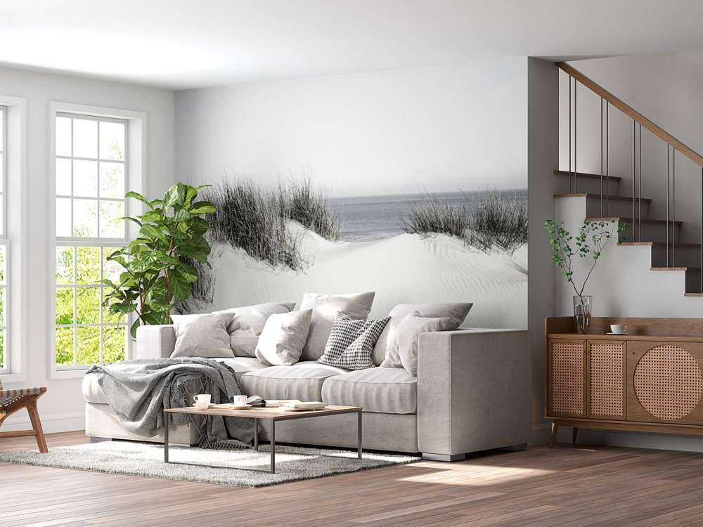 Dunepassasje til stranden svart og hvitt