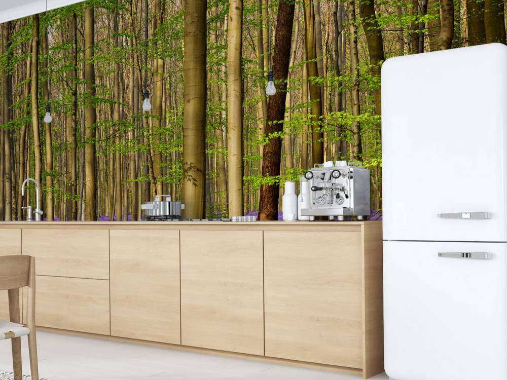 Skog med blåklokker