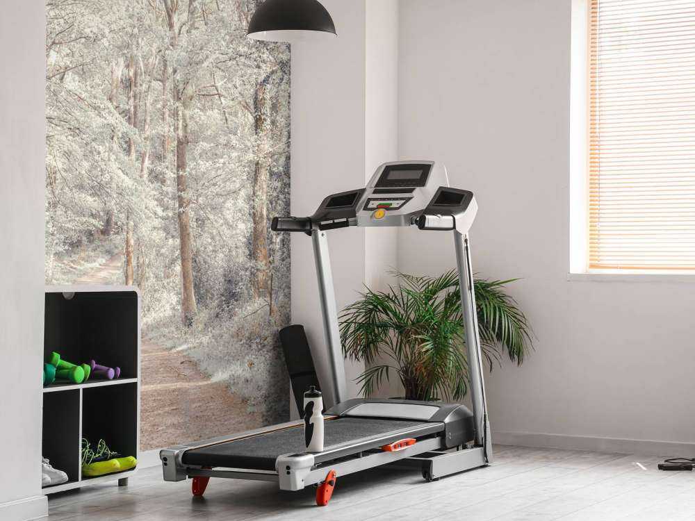 En sti gjennom en grønn skog