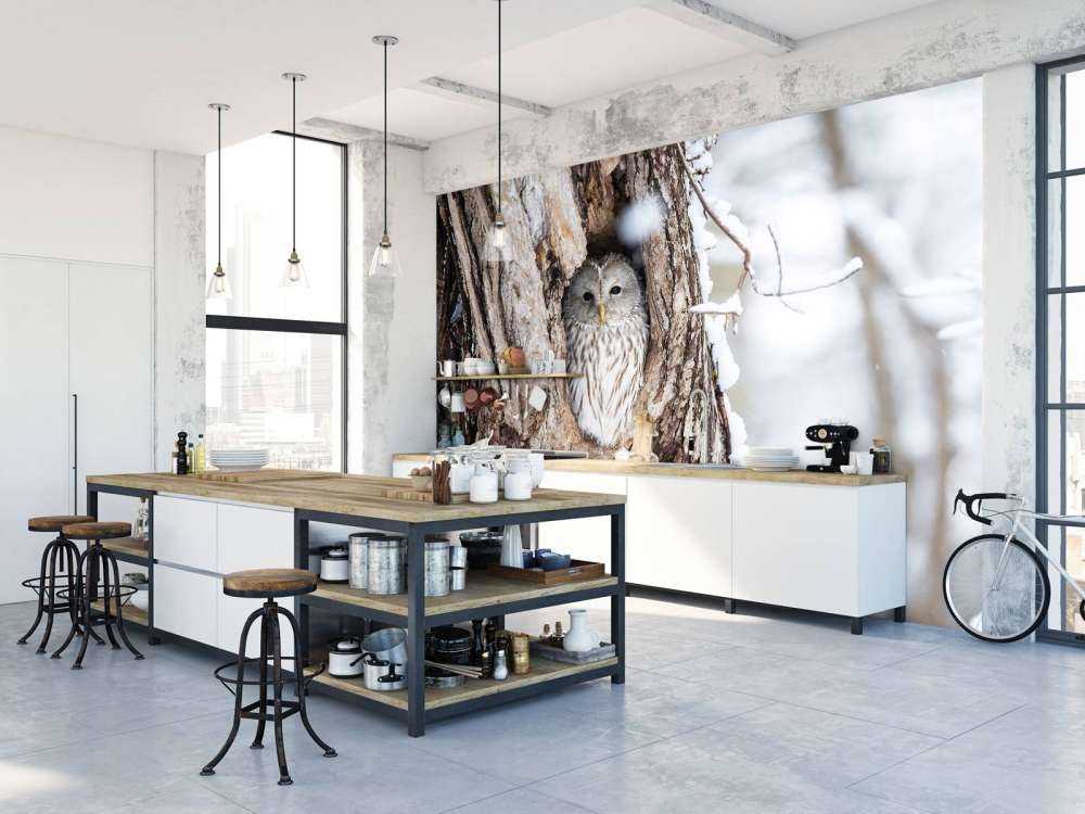 Hvit ugle i et hult tre