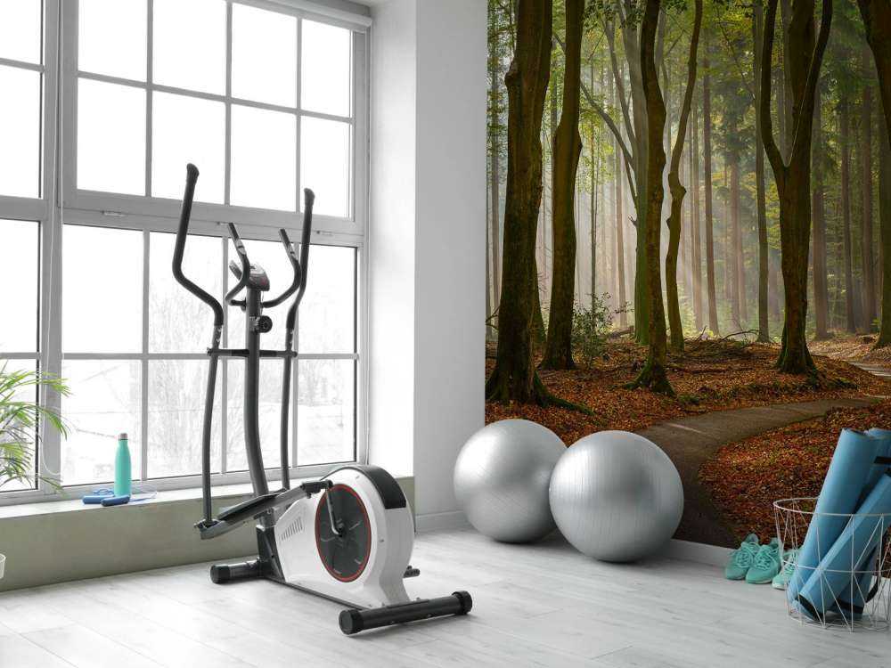 Solstråler på sti gjennom skogen