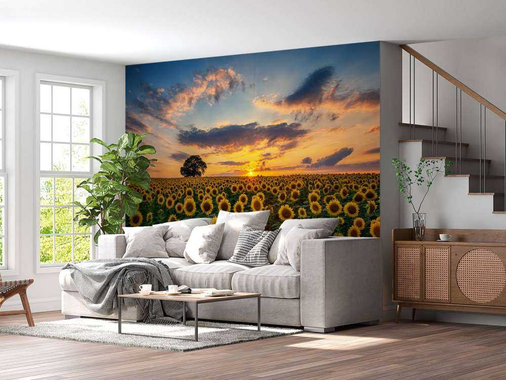 Åker full av solsikker