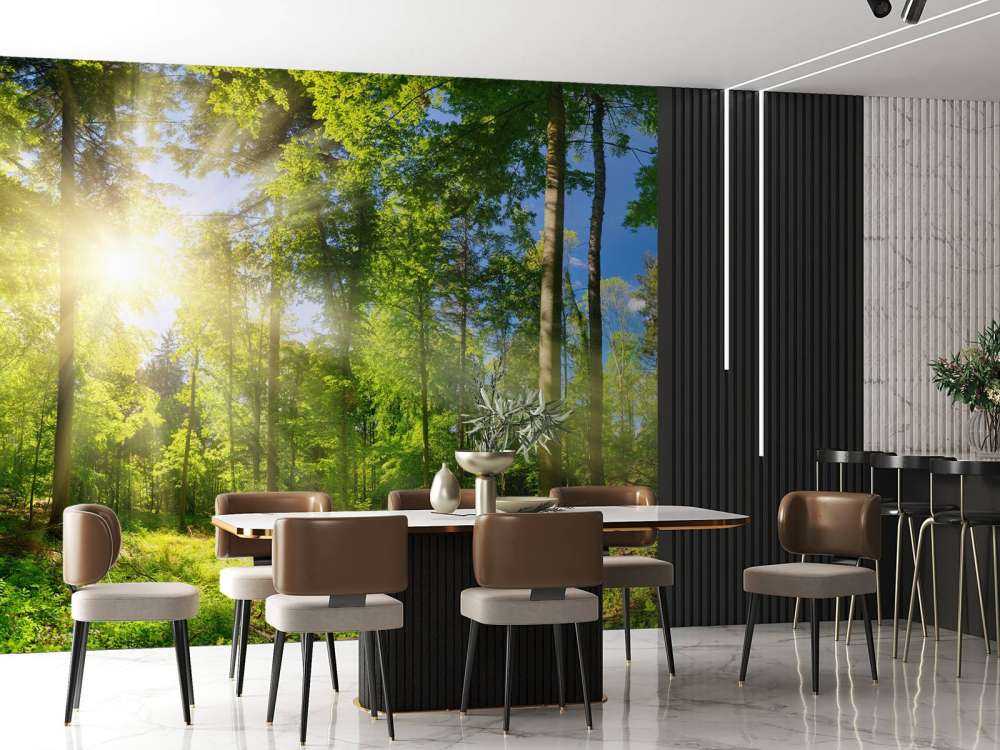 Skog med solstråler