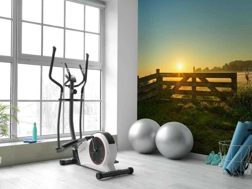 Gjerde ved soloppgang