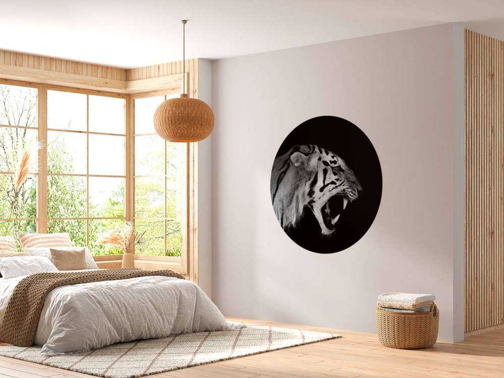 Brølende tiger svart