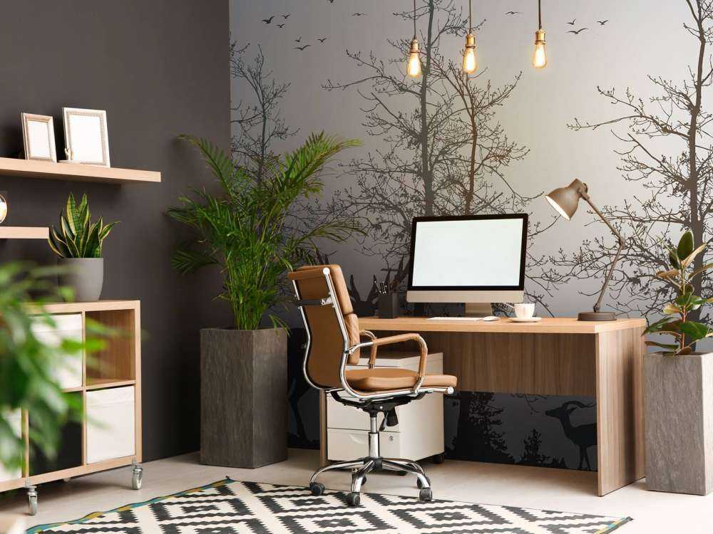 Vinterkontur Skogstillhet