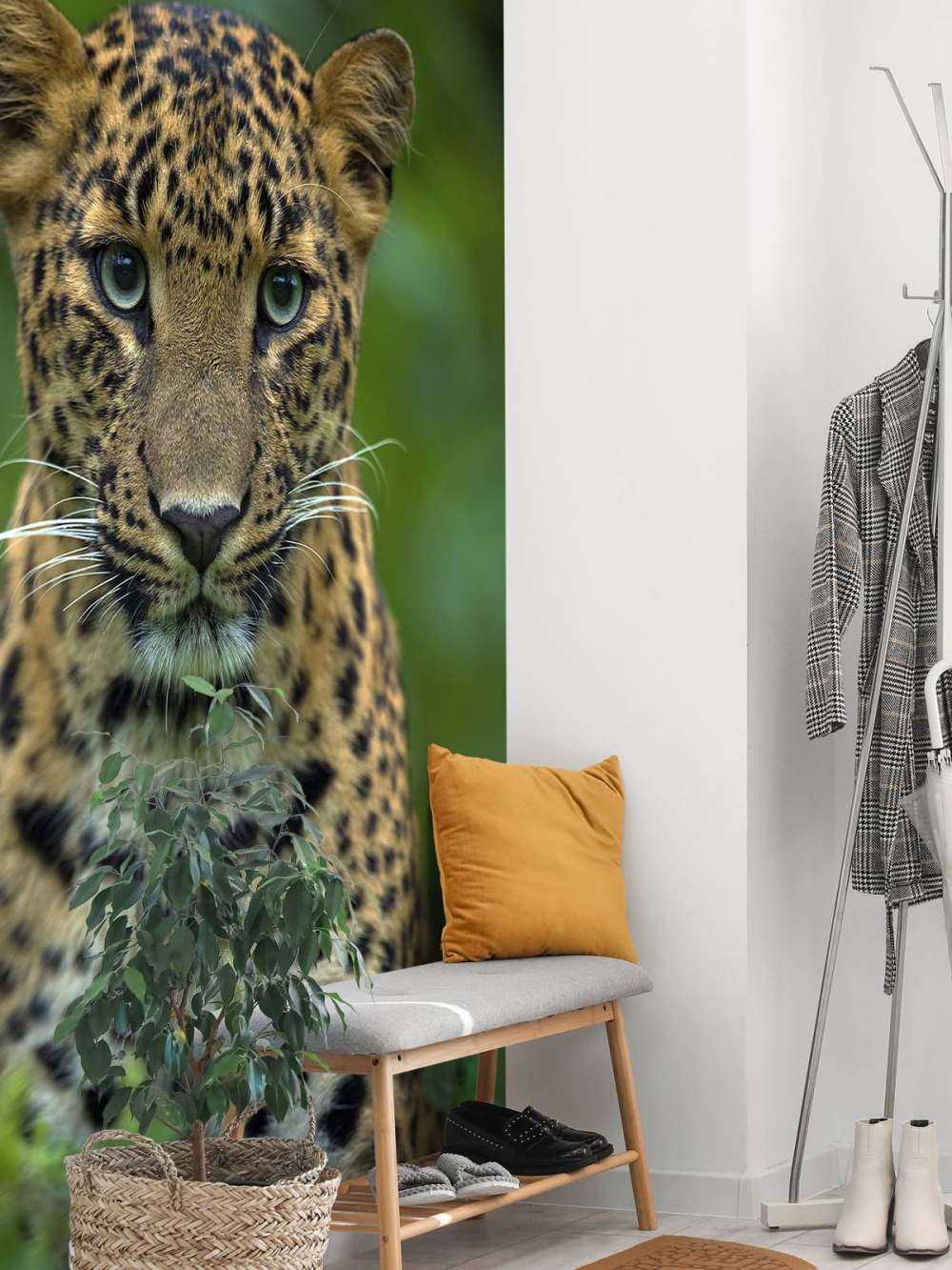 Konsentrert leopard