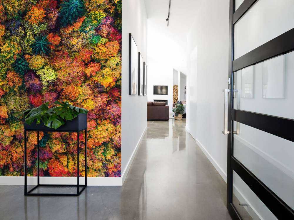 Luftfoto over høstskogen