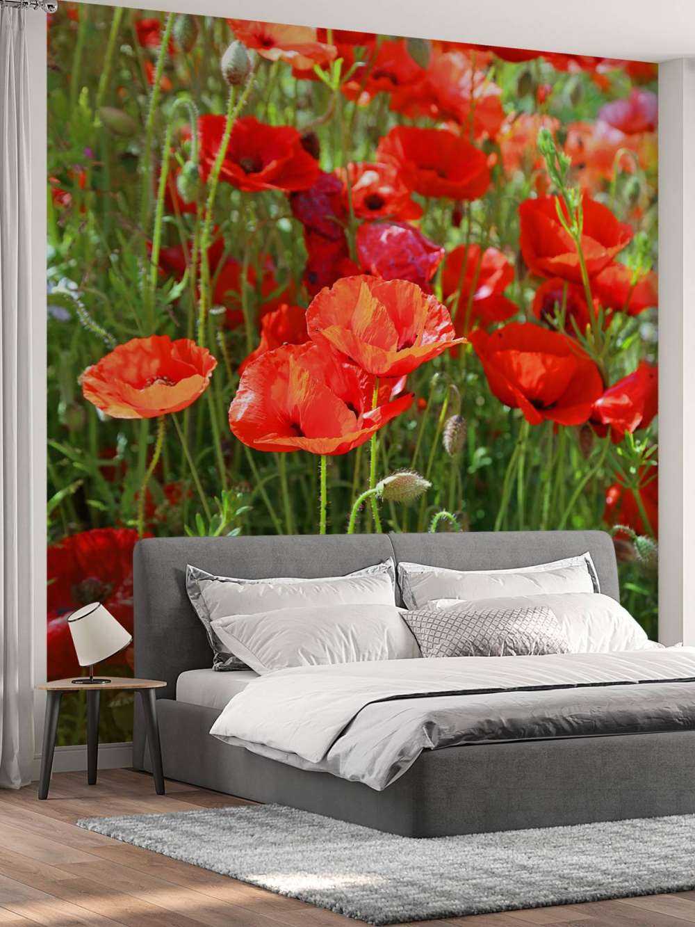 Nærbilde av valmuer