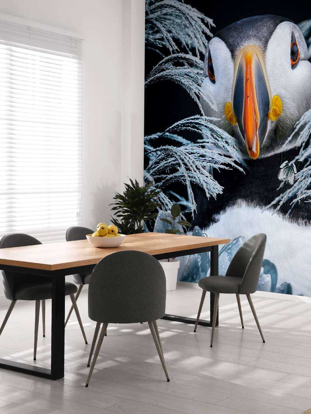 Atlantic Puffins Portræt