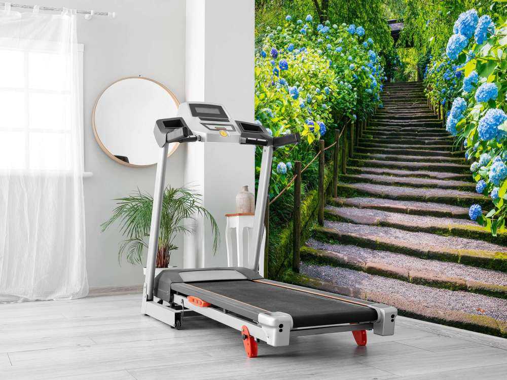 Trappe mellem hortensiaer