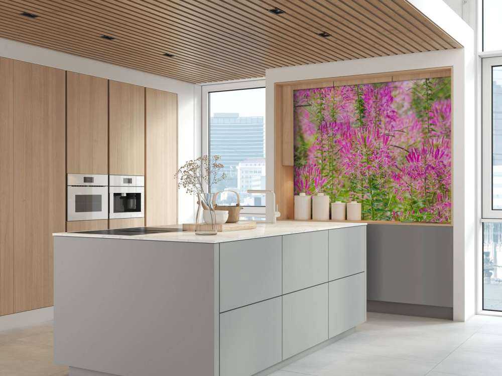 Cleome-blomster