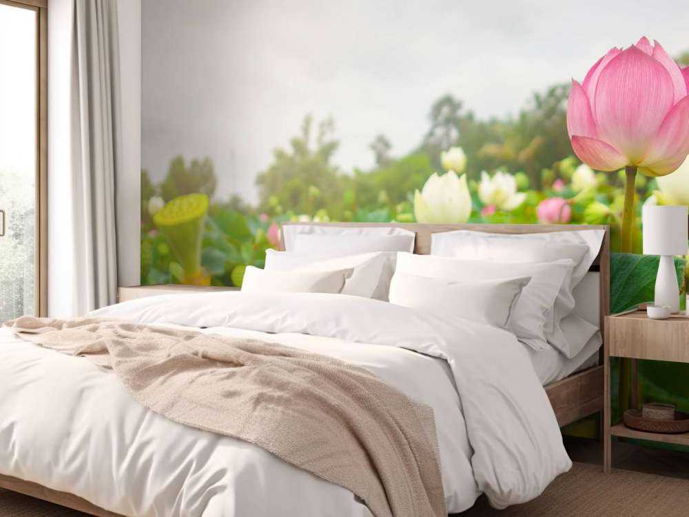 Lyserøde og hvide lotusblomster