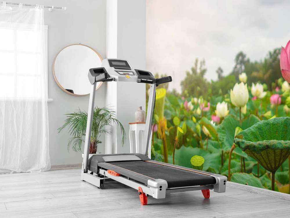 Lyserøde og hvide lotusblomster