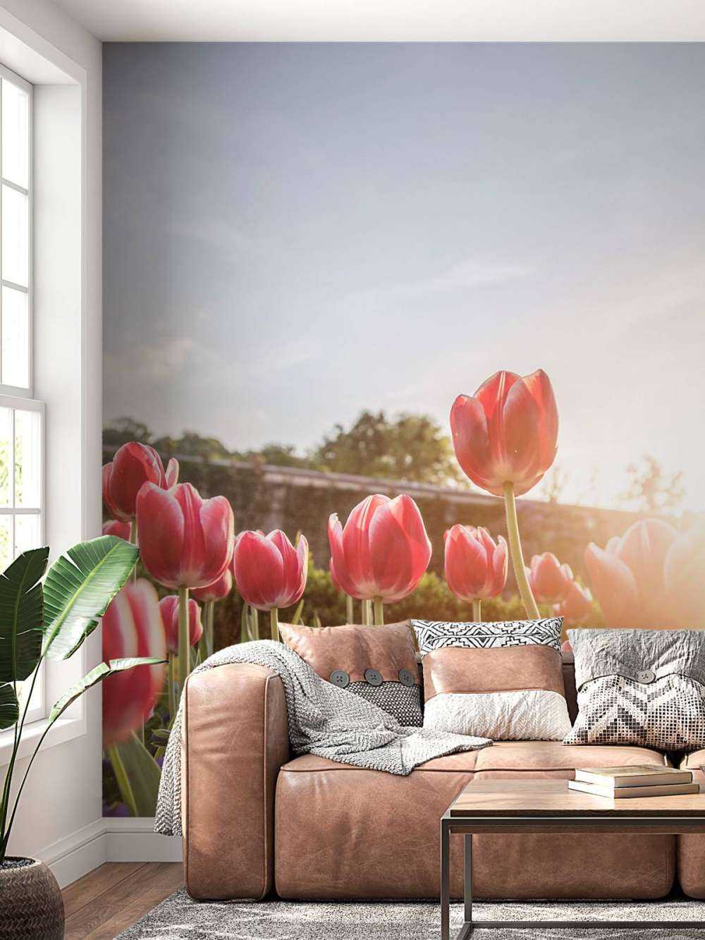 Blomster med sollys