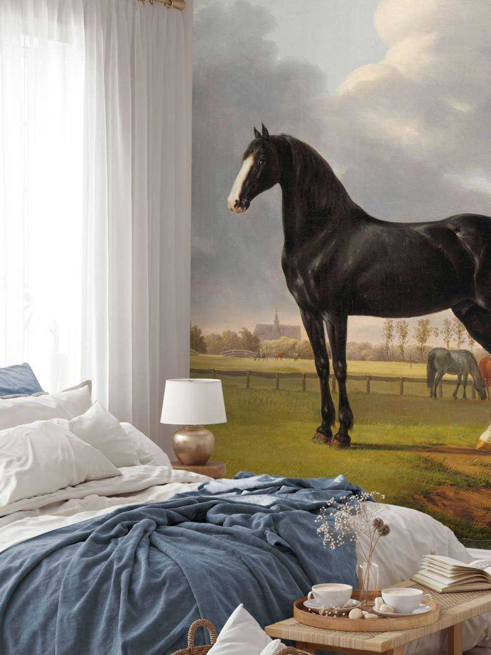 fototapet hest. Harddråer De Vlugge