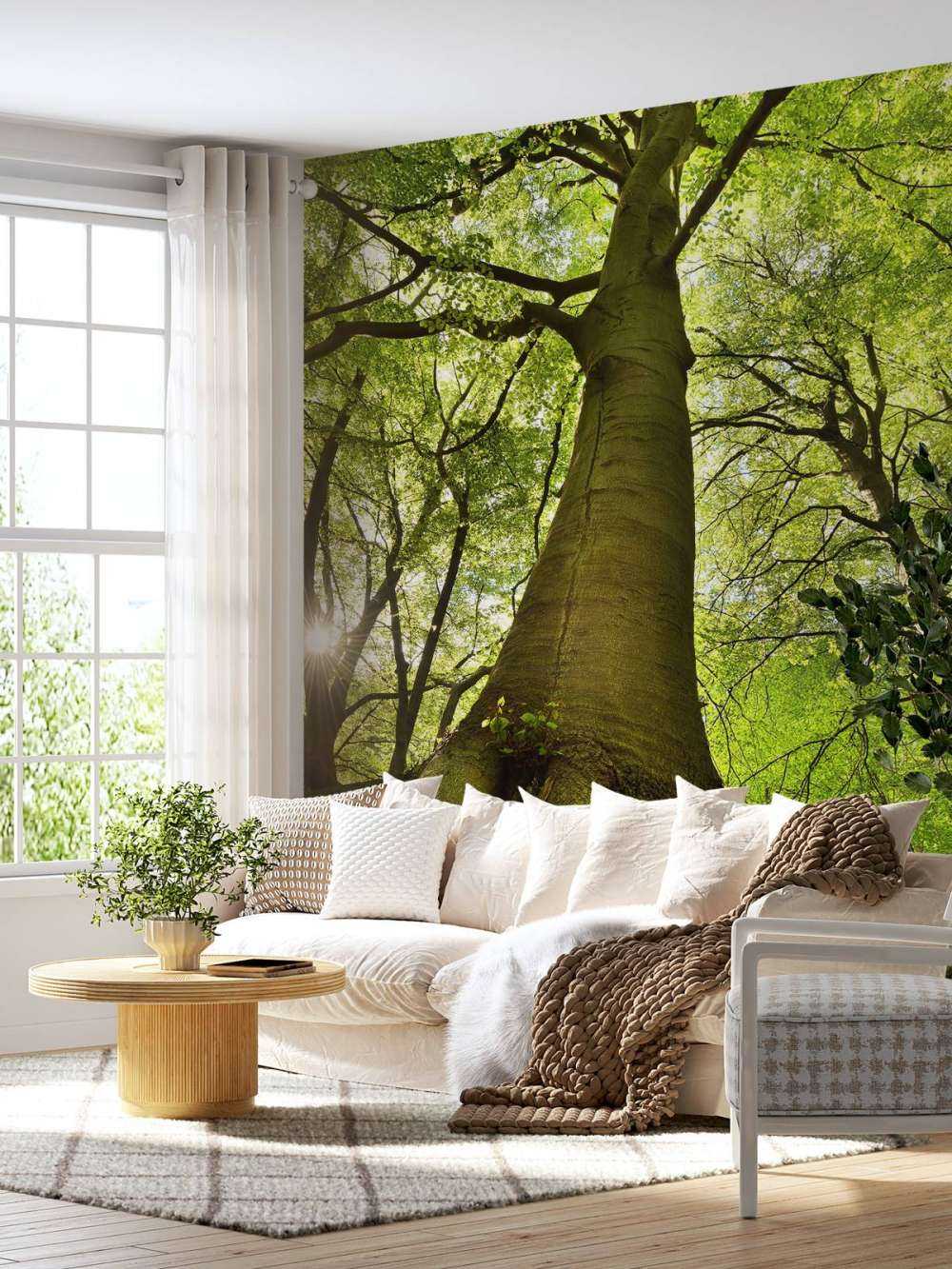 Stort træ og rødder